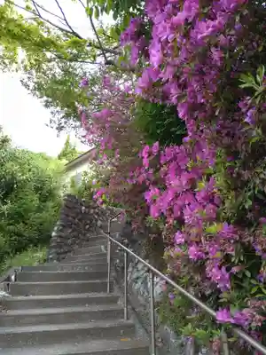 石内のお大師さん　金剛院の自然