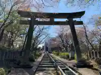 足羽山招魂社の鳥居