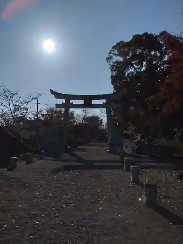 沙沙貴神社の鳥居