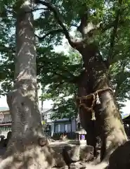 美和神社(長野県)