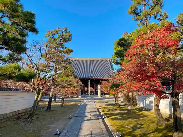 妙顯寺(妙顕寺)の本殿・本堂