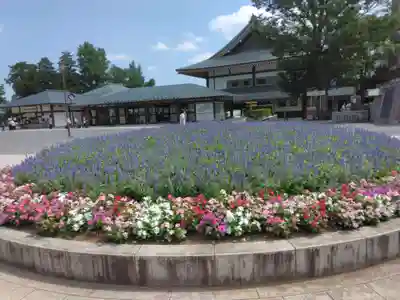 成田山新勝寺(千葉県)