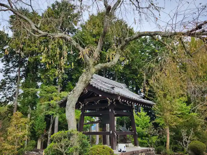 大林寺の建物その他