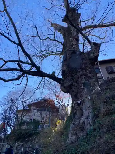 武蔵御嶽神社(東京都)