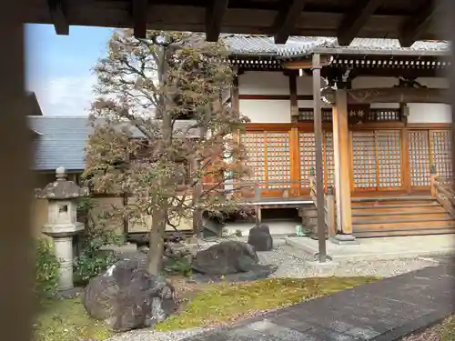 地蔵院(京都府)