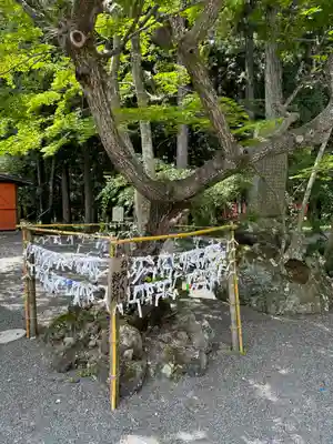 冨士御室浅間神社(山梨県)