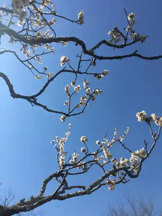 浄妙寺(神奈川県)