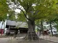 白鳥神社(長野県)