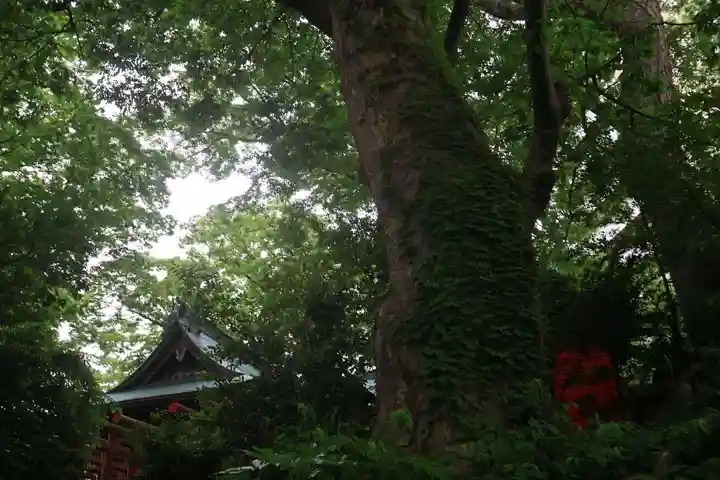 愛宕神社の景色