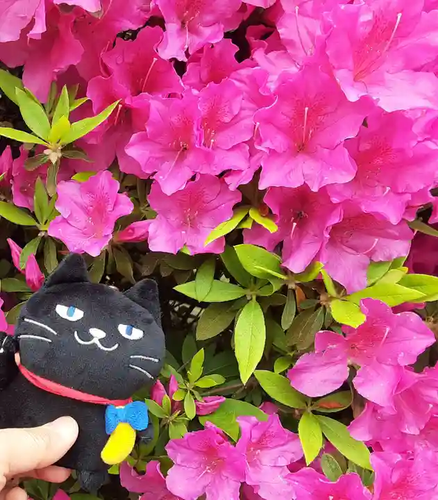 根津神社(東京都)