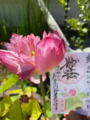 妙蓮寺(神奈川県)