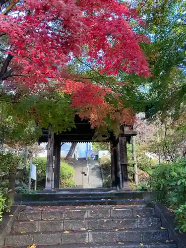 崇禅寺(群馬県)