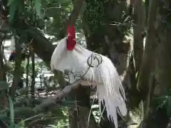 伊勢神宮内宮（皇大神宮）(三重県)