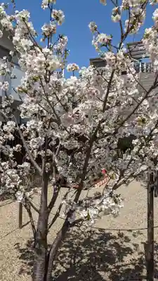 墨染寺（桜寺）の自然