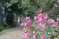 神原田神社の鳥居