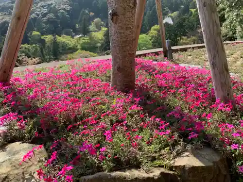 普門寺(切り絵御朱印発祥の寺)の庭園