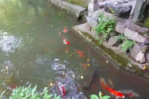 高鴨神社の庭園