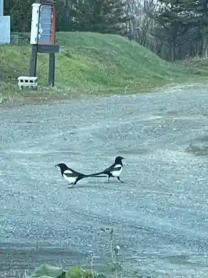 鵡川神社(北海道)