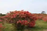 高柴山神社の景色