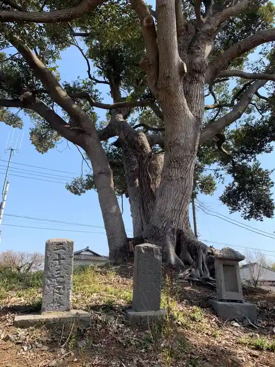 八坂神社(千葉県)