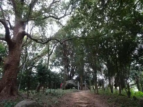 熊野神社(福岡県)