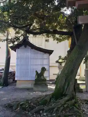 菟橋神社の狛犬