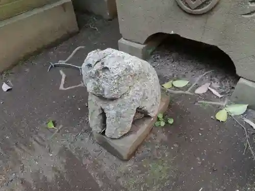 渋谷氷川神社の狛犬