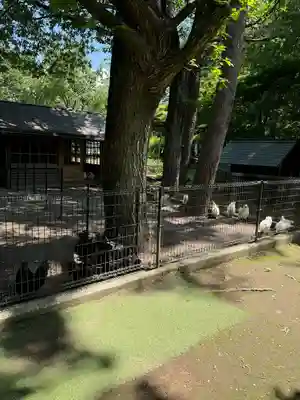 身曾岐神社(山梨県)