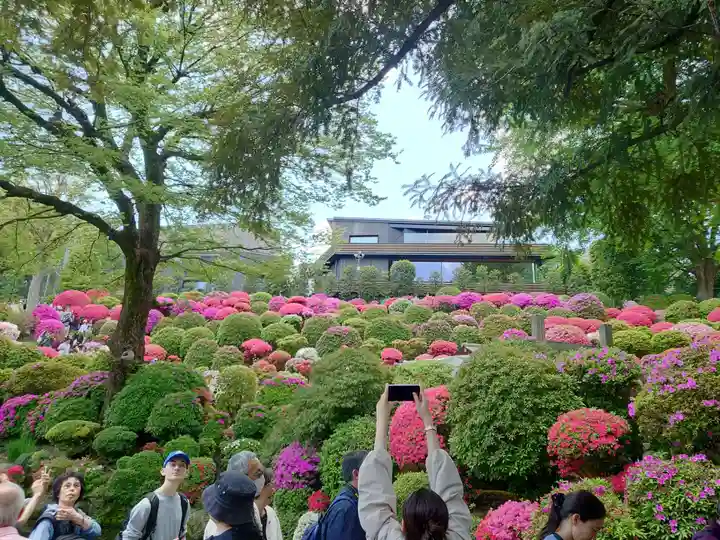 根津神社(東京都)