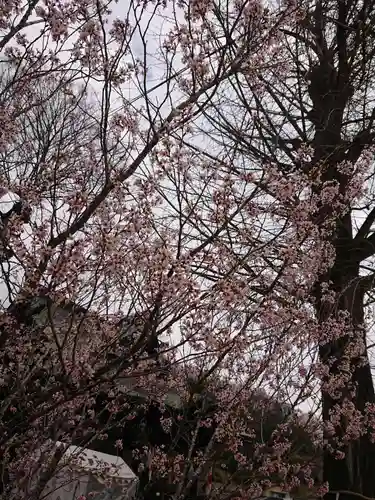 賀羅加波神社(広島県)