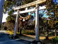 八幡社(牛田八幡社)の鳥居