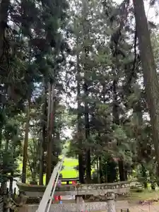 大宮温泉神社(栃木県)(2023年06月26日(月) 06時21分54秒投稿)