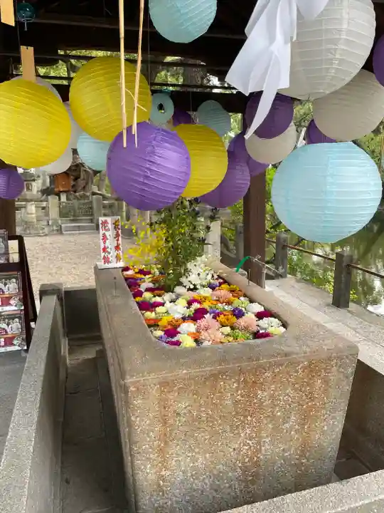 住吉大社(大阪府)