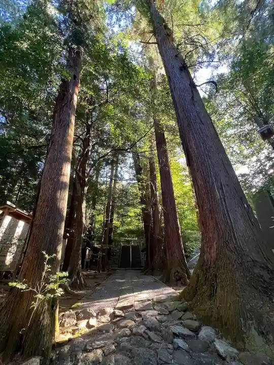 萩日吉神社(埼玉県)
