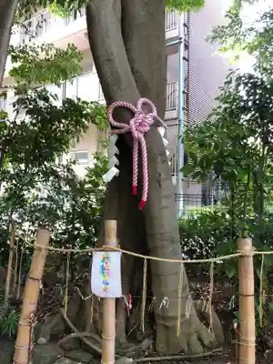 伊和志津神社の周辺
