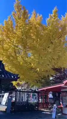 瀧宮神社(広島県)