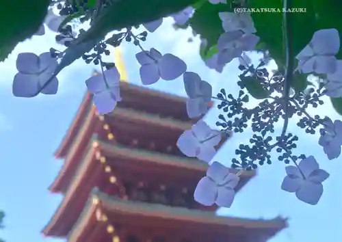 高幡不動尊　金剛寺(東京都)