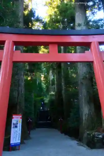 箱根神社(神奈川県)