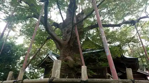 稲荷神社のその他建物