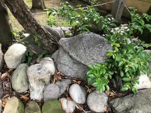 田縣神社の狛犬