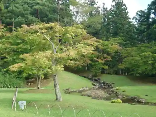 毛越寺(岩手県)