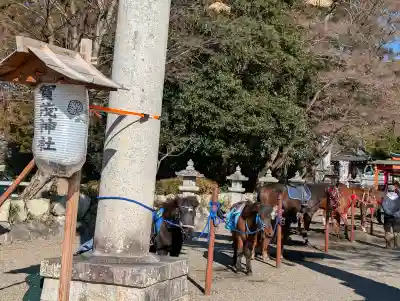 賀茂神社の{uncategorized: "未分類", other: "その他", undefined: "問題あり", building: "その他建物", grave: "お墓", sacred_gate: "鳥居", guardian: "狛犬", statue: "像", buddha: "仏像", history: "歴史", nature: "自然", garden: "庭園", animal: "動物", pagoda: "塔", temizu: "手水舎", mountain_gate: "山門・神門", sanctuary: "本殿・本堂", subordinate: "末社・摂社", art: "芸術", scenery: "景色", jizo: "地蔵", ema: "絵馬", goshuin: "御朱印", omikuji: "おみくじ", items: "授与品その他", amulet: "お守り", goshuincho: "御朱印帳", eats: "食事", festival: "お祭り", votive_dance: "神楽", shichigosan: "七五三参", wedding: "結婚式", experience: "体験その他", initially: "初詣", around: "周辺", anti_infection: "感染症対策"}