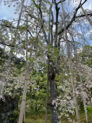 常照寺(京都府)