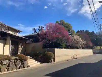 観音蜜寺(神奈川県)