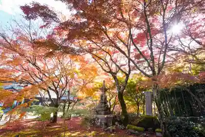 両足寺(山口県)