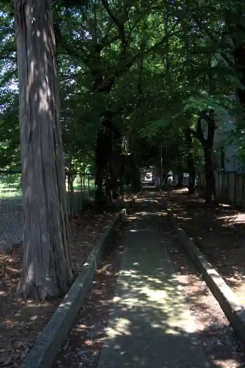馬場氷川神社(埼玉県)