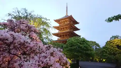 東寺（教王護国寺）の景色