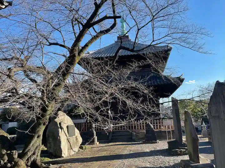 吉祥寺(東京都)
