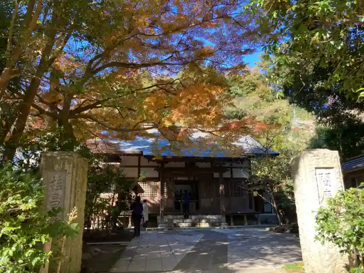 桂昌庵の本殿・本堂