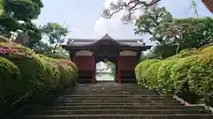 護国寺の建物その他